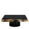 Arcahorn Coffee Tables<Andria Glossy Black Wood With Horn Details Coffe Table