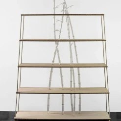 Simone Crestani Bookcases<Bambuseto Wood and Glass Bookshelf