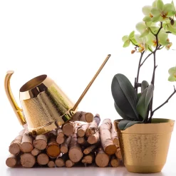 Zanetto Other Outdoor Furniture<Ciccio Watering Can