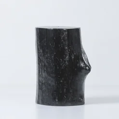 Omnibus Design Stools<Codicillus I Oak Black Stool