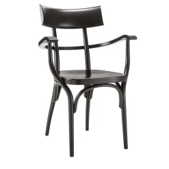 Gebrüder Thonet Vienna GmbH (GTV) – Wiener GTV Design Chairs<Czech Black Chair by Hermann Czech