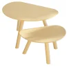 Biosofa Nesting Tables<Disfatto Bio Two Coffee Tables by Dennis Guidone