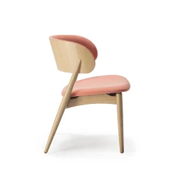 Livoni 1895 Chairs<Duna Pink Chair by Balutto Associati