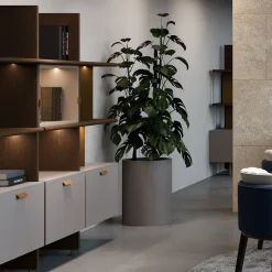 Carpanese Home Bookcases<Duo Small Wall Shelving