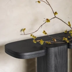 Carpanese Home Consoles<Erice C Wood Console