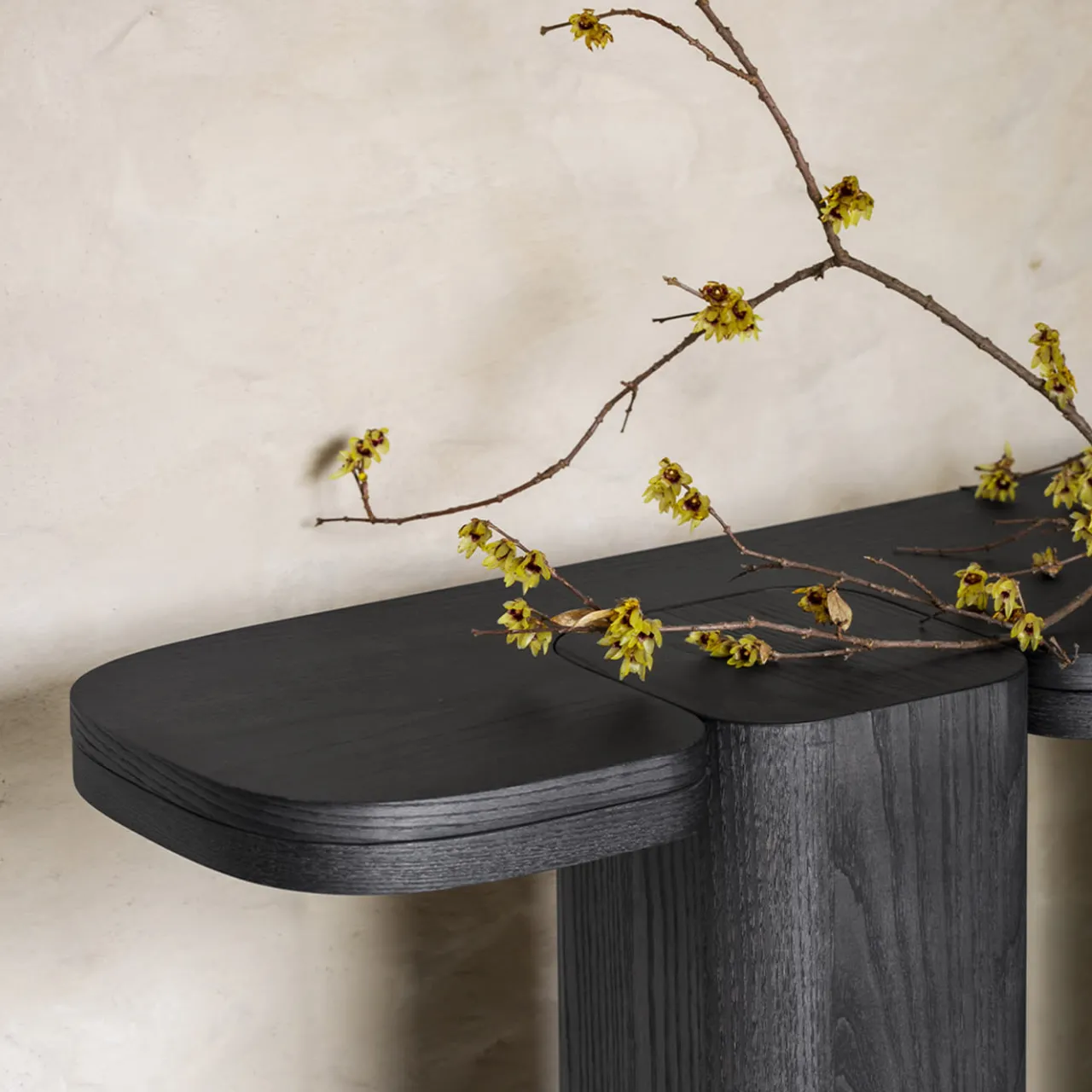 Carpanese Home Consoles<Erice C Wood Console