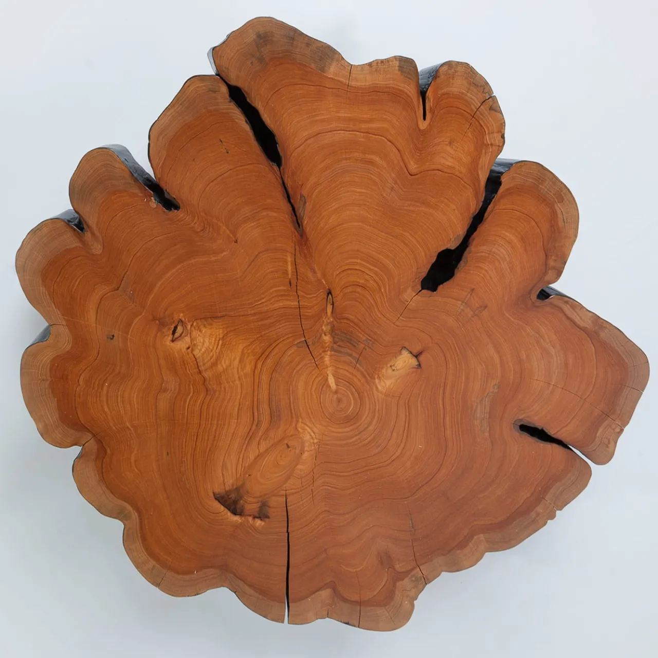 Omnibus Design Coffee Tables<Locum IV Coffee Table