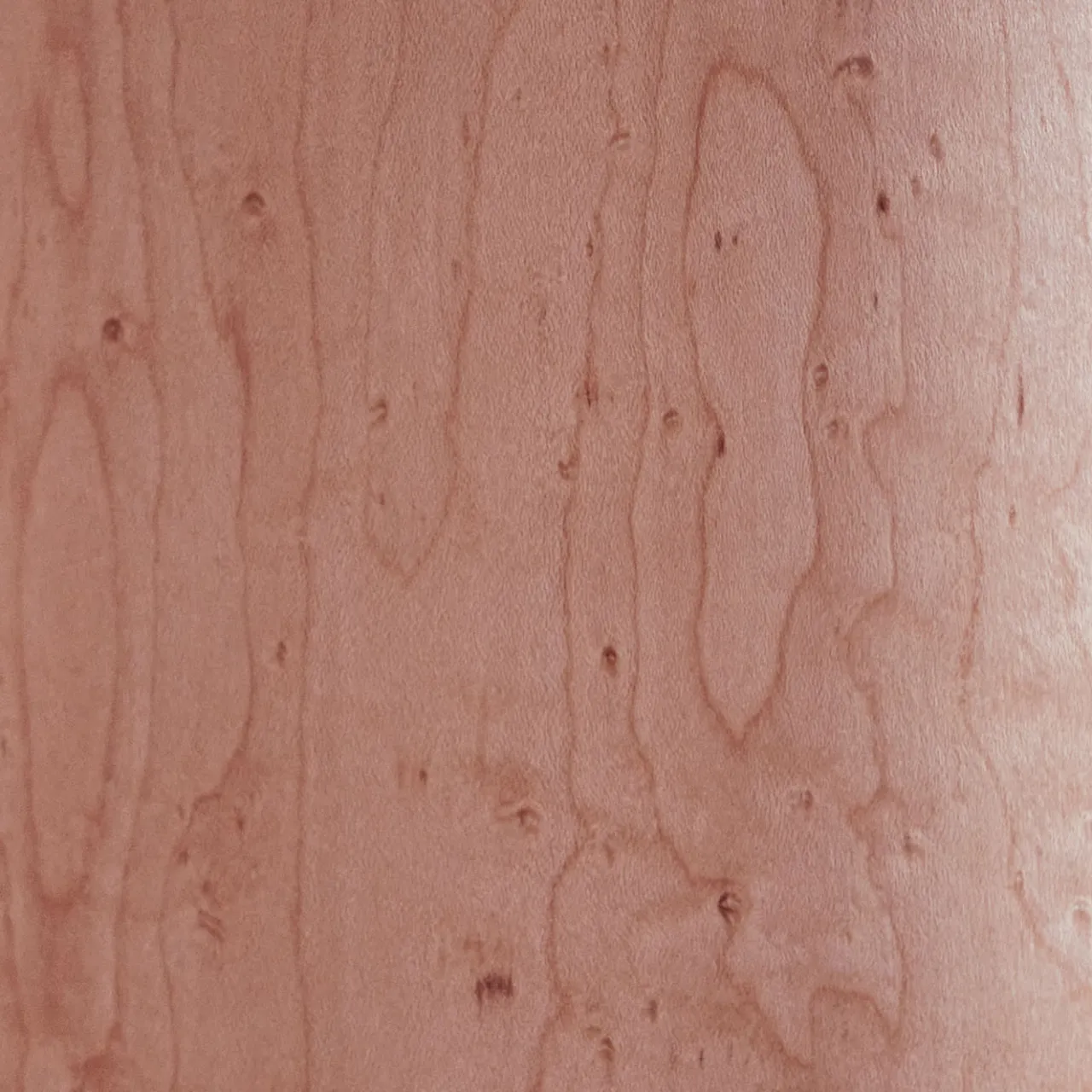 Biosofa Room Dividers<Onda Su Onda Maple Burl Veneer Room Divider