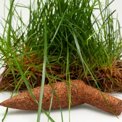 Keep Life Other Outdoor Furniture<Piantatoio Planter by Matali Crasset