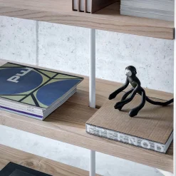 Fioroni Bookcases<Samedan Bookcase by Act_Romegialli