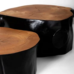 Omnibus Design Nesting Tables<Set of 2 Geminus III Coffee Tables