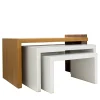 CG Capelletti Nesting Tables<SET OF 3 NESTING STYLE SIDE TABLES