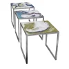 Carla Milesi di Gresy Nesting Tables<Set of Three Coffee Tables