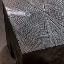 Riccardo Monte Side Tables<Skelly Cube Charred Finish Side Table
