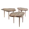 Francesco Maria Messina Coffee Tables<Tellus Set of 3 Coffee Tables