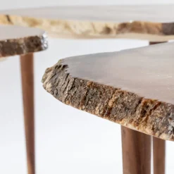 Francesco Maria Messina Coffee Tables<Tellus Set of 3 Coffee Tables