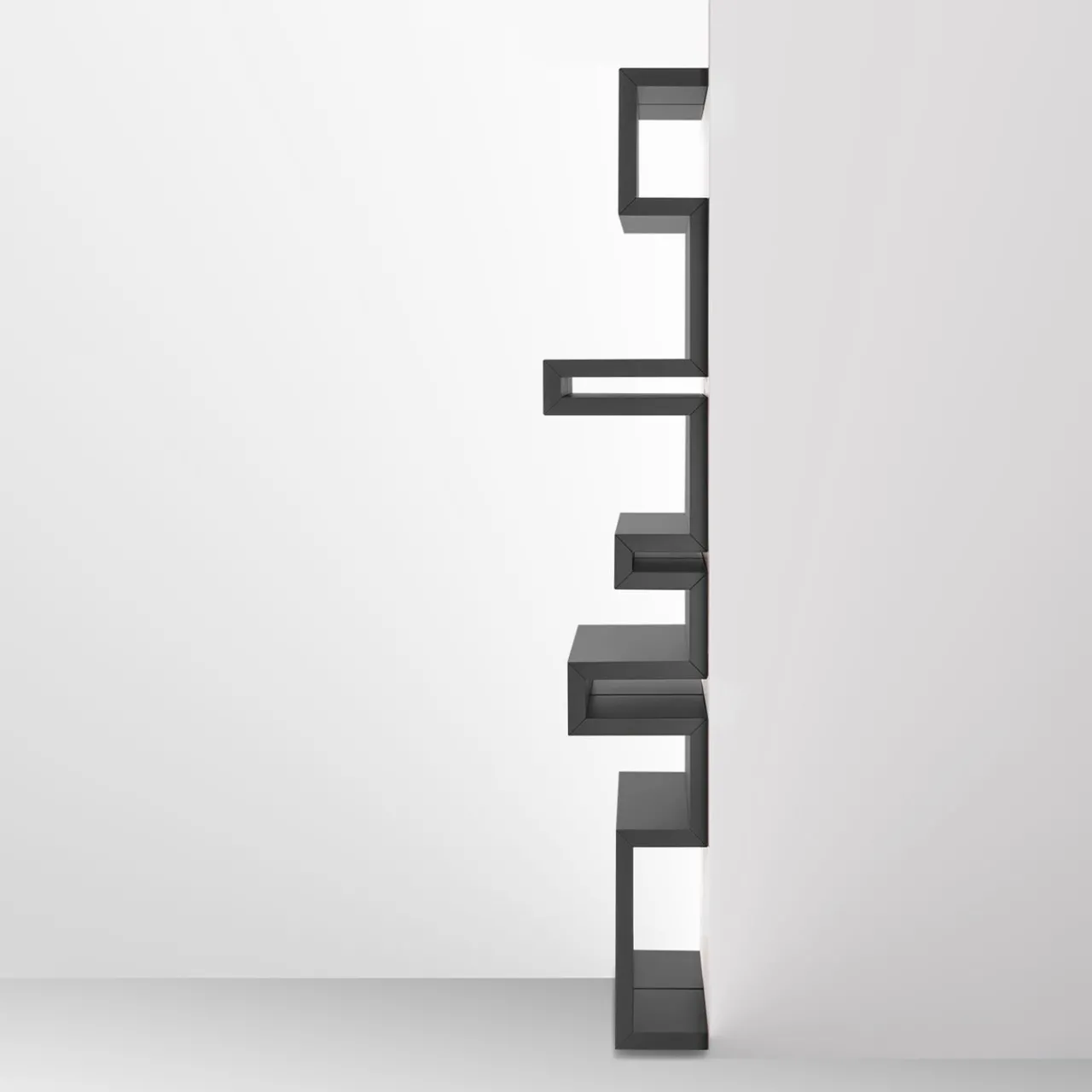 Arkof Bookcases<Todo Gray Wall Bookcase by Giulia Contaldo