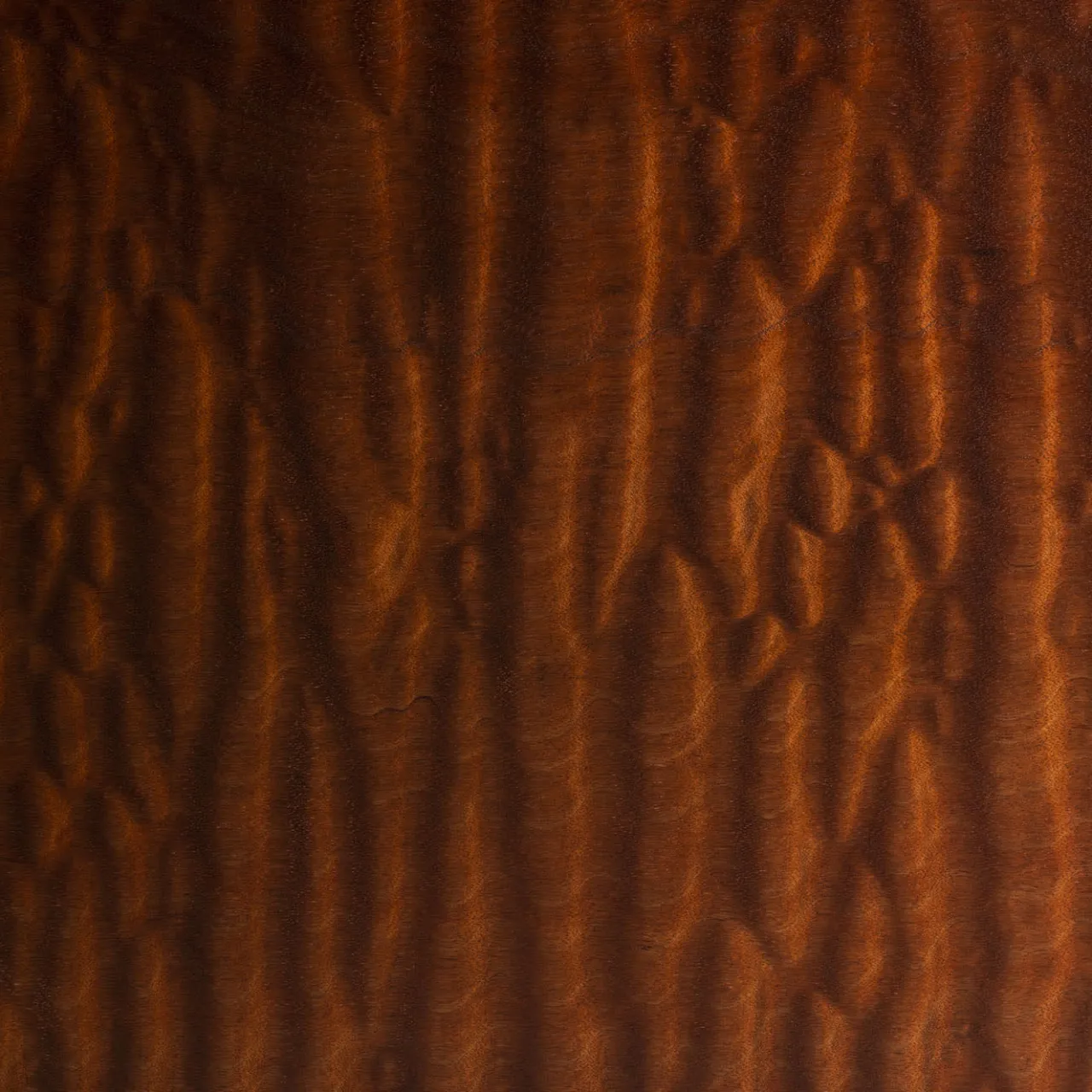 Giordano Viganò Coffee Tables<Vitruvio Mahogany Pomelè Large Coffee Table