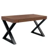Giobagnara Desk & Writing Tables<XX Desk